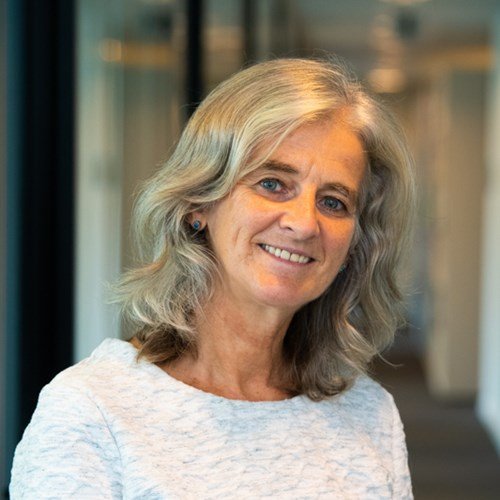 Ann Vranken